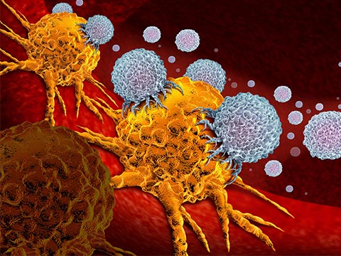 1699931973102856.jpg mianyixibao.jpg