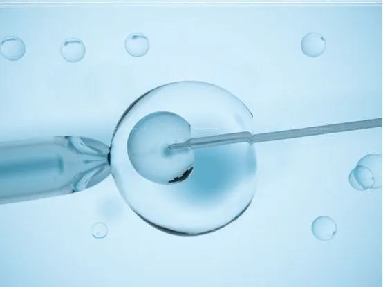 1699932242114836.jpg 640 (3).jpg