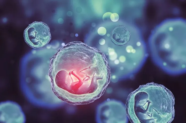 1699932657111187.png 1699320735415.png