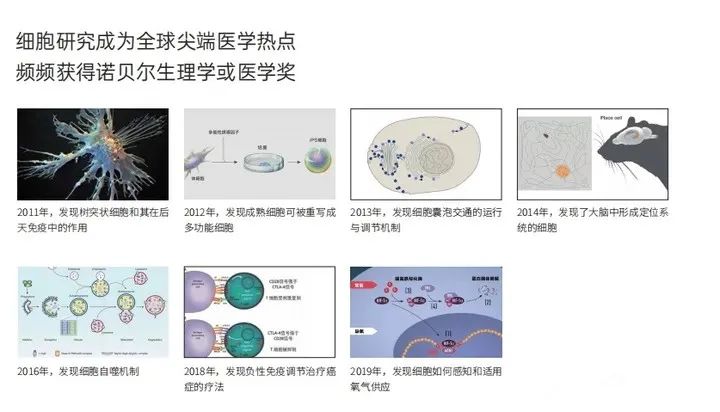 1700619509520308.jpg 640 (8).jpg