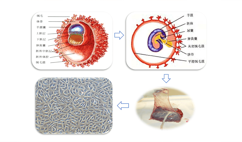 1700619889294889.png b953ed0c4d00427b8c5d544b6c9e96f5.png