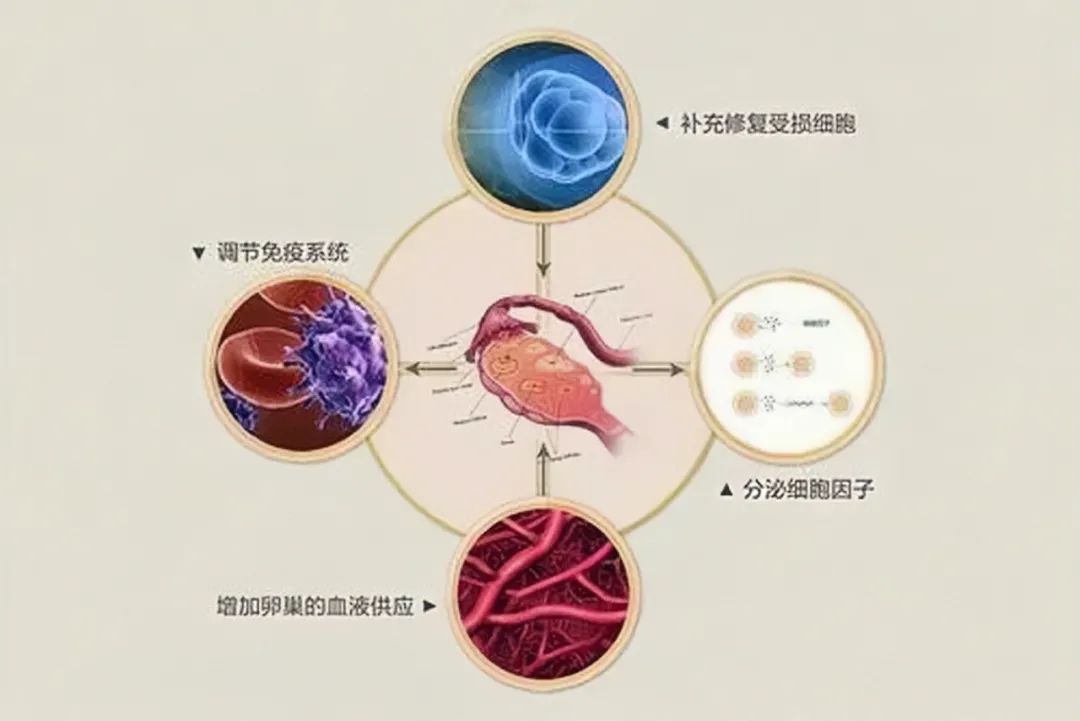 1700619963163889.jpg 640 (6).jpg