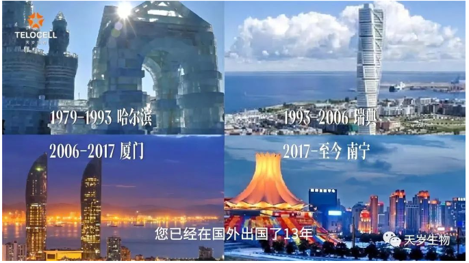 1701834111447456.png 1701834110672.png