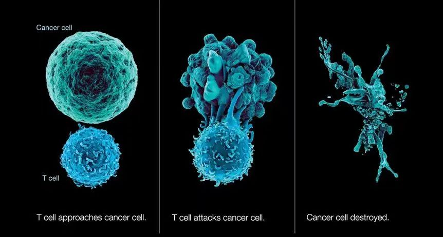 1701841763167725.jpg 640 (3).jpg