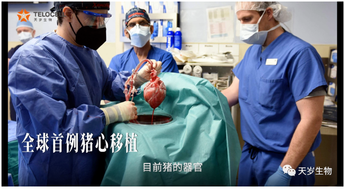 1702619666199160.png 1702619663570.png