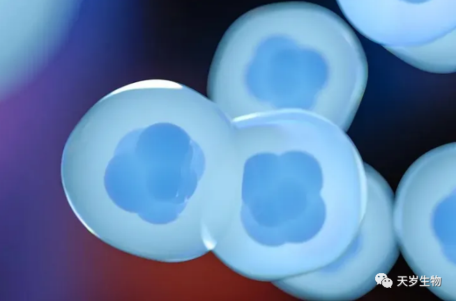 1702621802219770.jpg 1702621800432.jpg