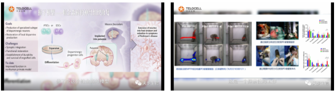 1703141074133629.png 1703141072555.png