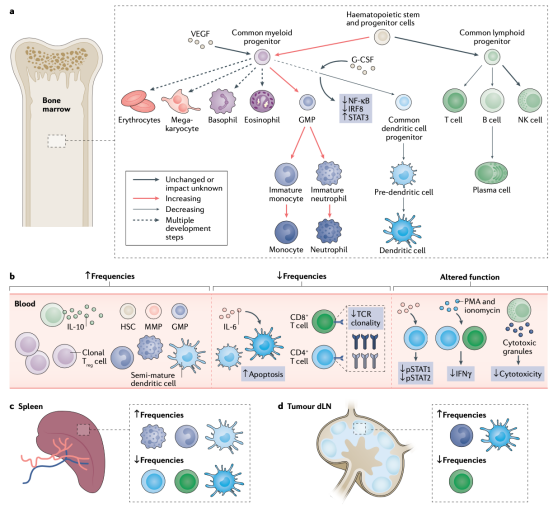 1704442110137390.png 640 (1).png