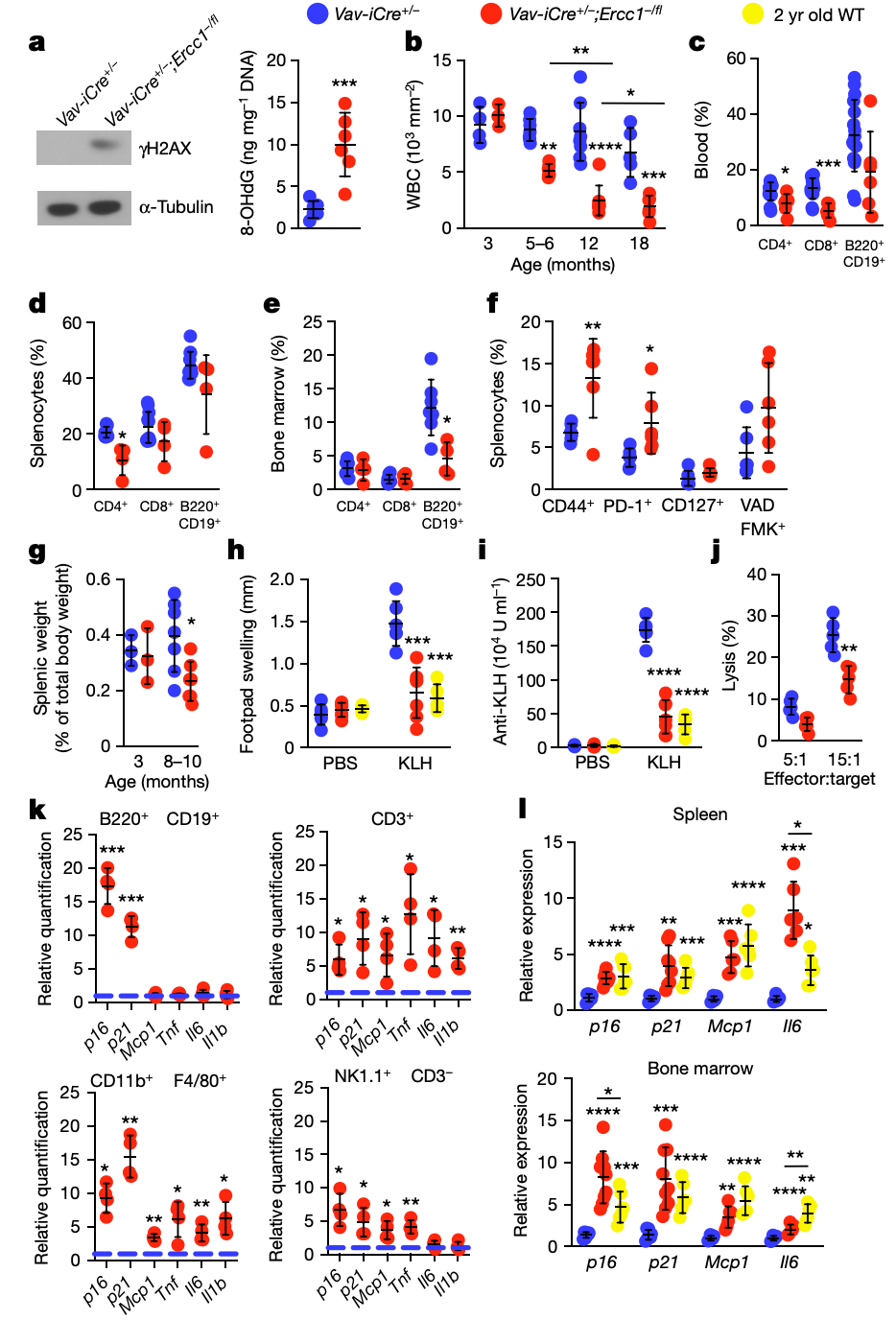 1704443536852197.png 640 (5).png