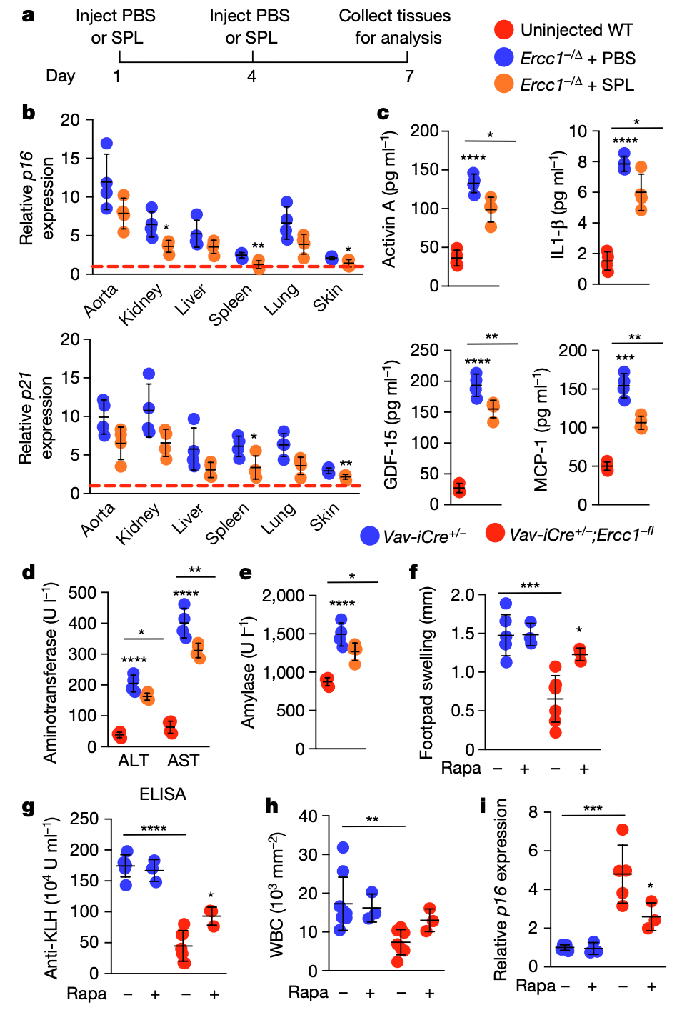 1704443650998846.png 640 (4).png