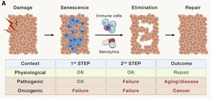 1705375666196457.jpg 微信圖片_20240110174713.jpg