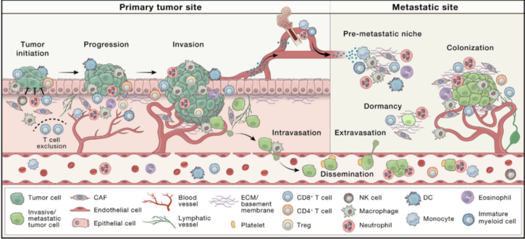 1705995902926820.png 640 (2).png