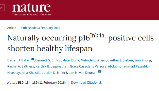 1705996267144537.png 640 (6).png