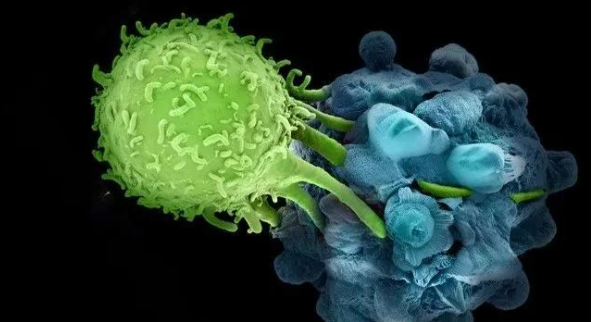 1709624920934146.png 1706163474276.png