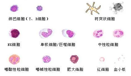 1709624949503893.png 1706163637069.png