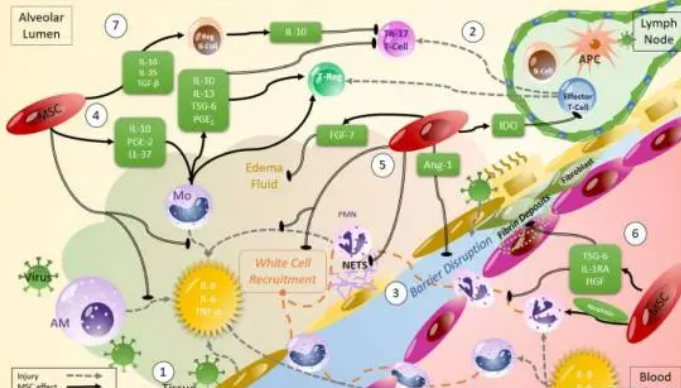 1709625163955467.png 微信圖片_20240125094455.png