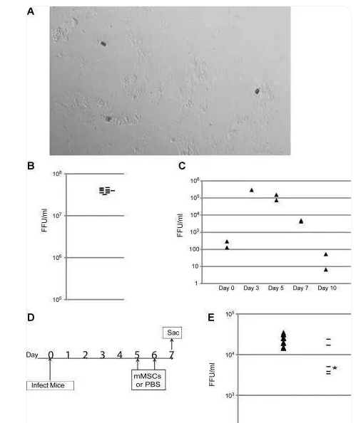 1709625182839875.png 微信圖片_20240125094458.png
