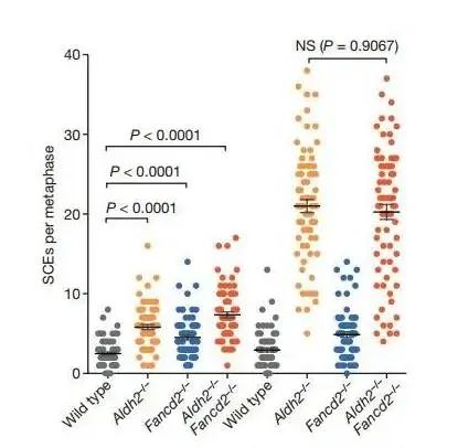 1709627299686186.jpg 640 (6).jpg