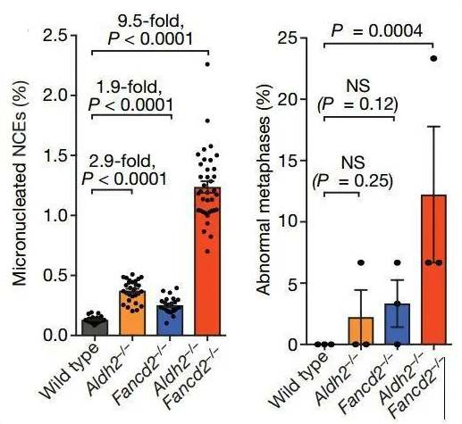 1709627324176002.png 1706238953053.png