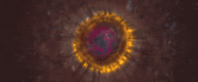 1709627384985484.gif 640.gif