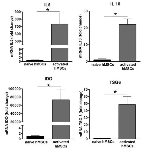 1709627428105133.jpg 640 (17).jpg
