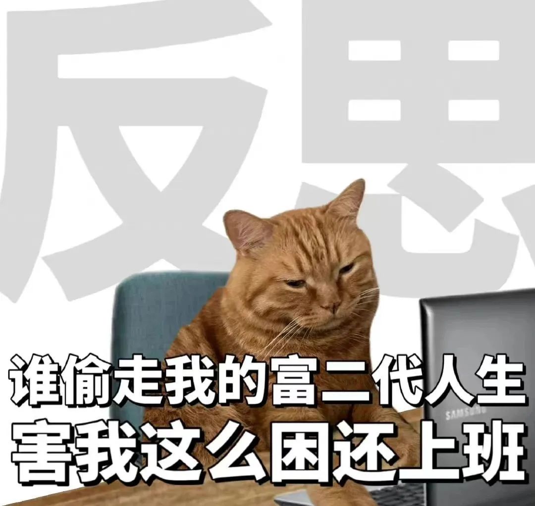 1709628407179461.jpg 640 (7).jpg