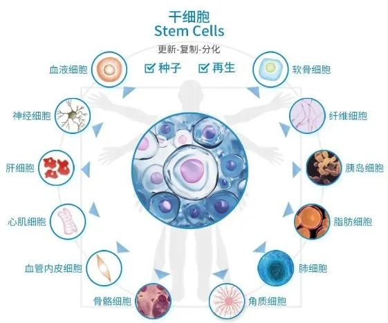 1709629062160930.jpg 640 (11).jpg