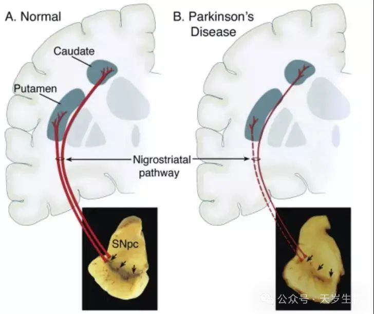 1709632101517052.png 微信圖片_20240305174710.png