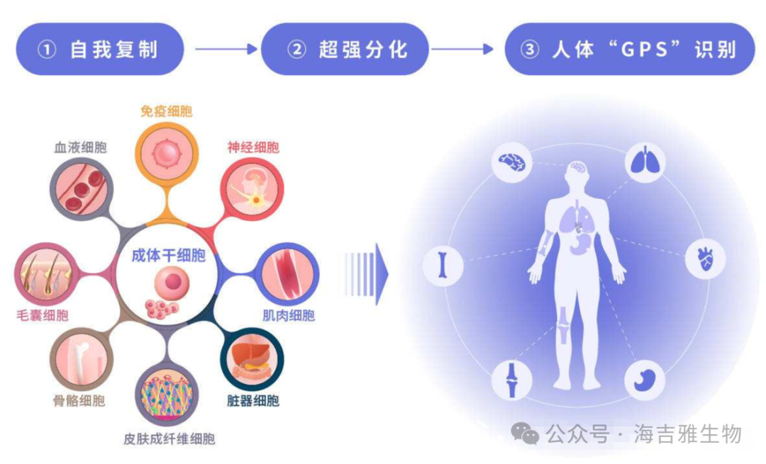 1709705524133681.png 640.png