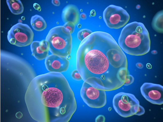 1709705558189891.png 1708580699827.png