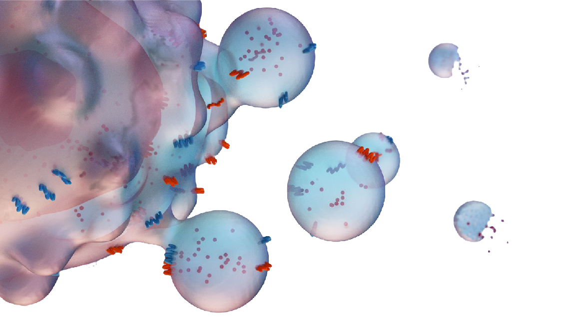 1710906582119230.png 圖片5.png