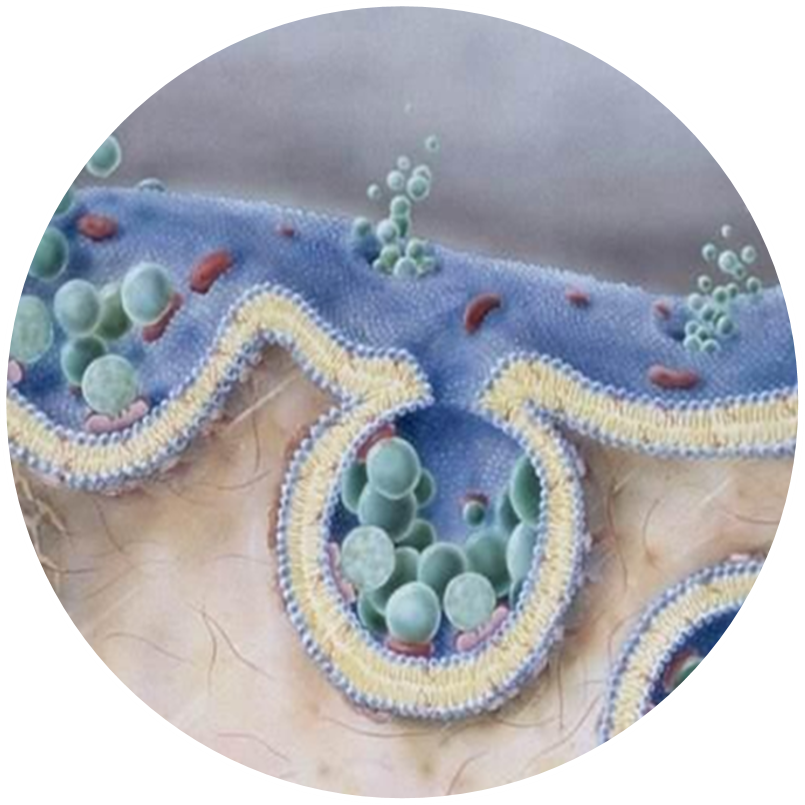 1710906599164015.png 圖片6.png