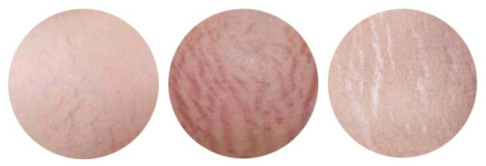 1710906670135577.png 圖片7.png