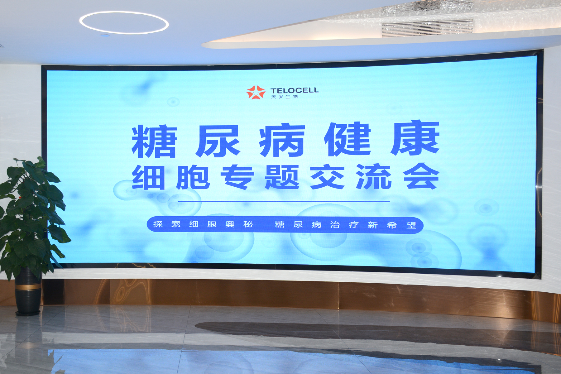 1712803123112778.jpg 1.jpg