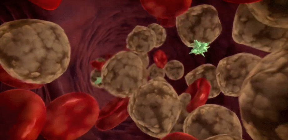 1712804561178629.gif 微信圖片_20240409145615.gif