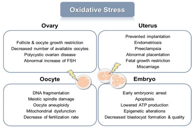 1715677593211376.png 微信圖片_20240510223709.png