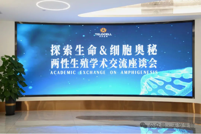 1716021072159530.png 1716021070685.png