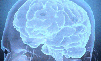 1723777593786950.gif 640.gif