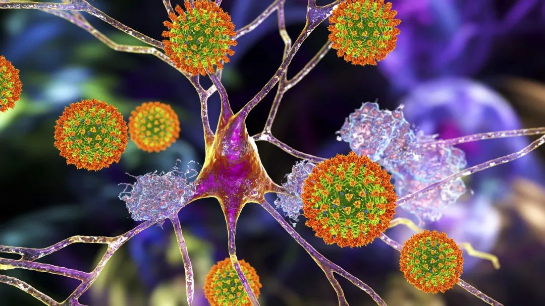 1724318670142206.jpg 640 (1).jpg