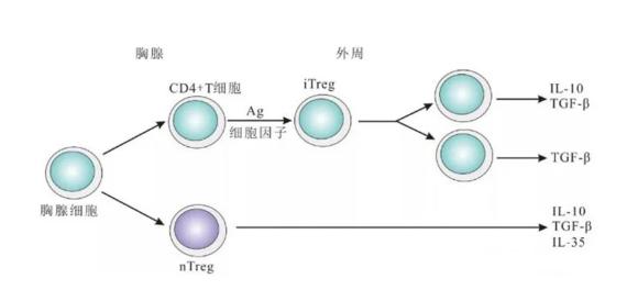 1725872990149950.jpg 調(diào)節(jié).jpg