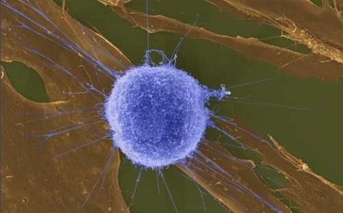 1725873022166824.jpg 13382.jpg