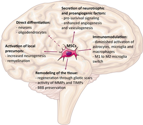 1726287346176604.png 640 (17).png