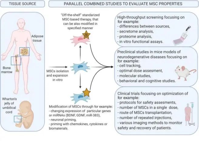 1726287470168567.jpg 640 (8).jpg