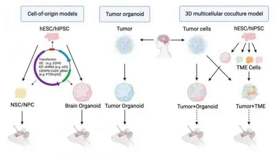 1726287784172507.jpg 640 (13).jpg