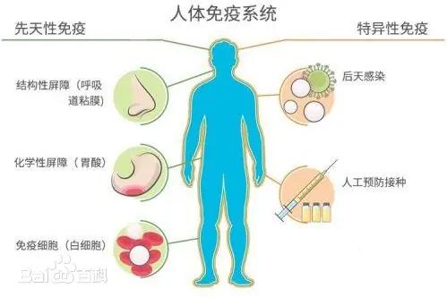 1728526280877208.jpg 1.jpg