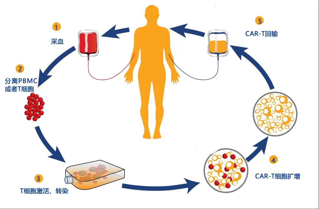 1728526305195726.jpg 640 (3).jpg