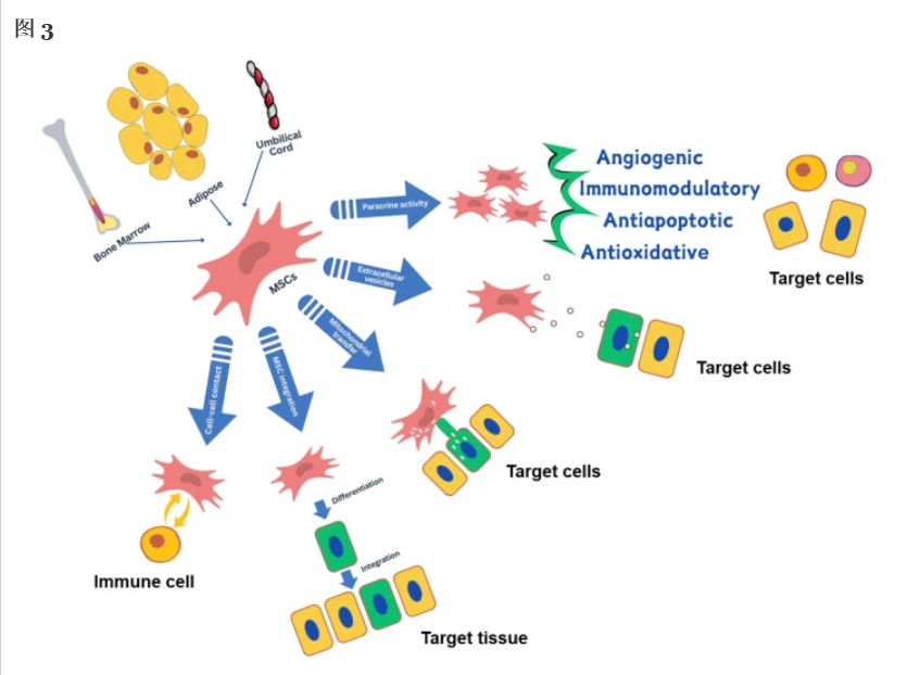 1728723353179863.png 640 (7).png