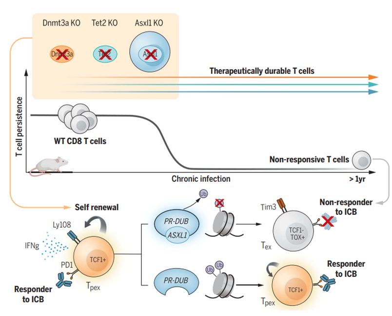 1730081198223656.png 微信圖片_20241022104351.png