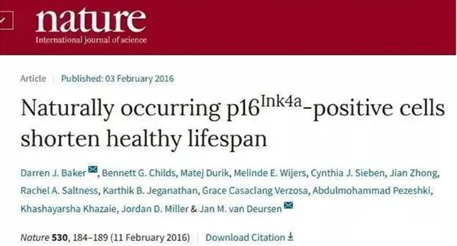 1730081464120465.jpg 20654.jpg