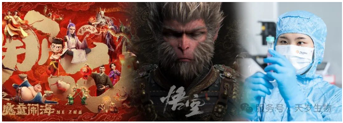 1740365332140233.png 1740365332583.png